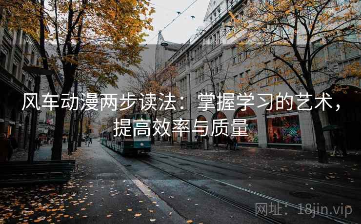 风车动漫两步读法：掌握学习的艺术，提高效率与质量