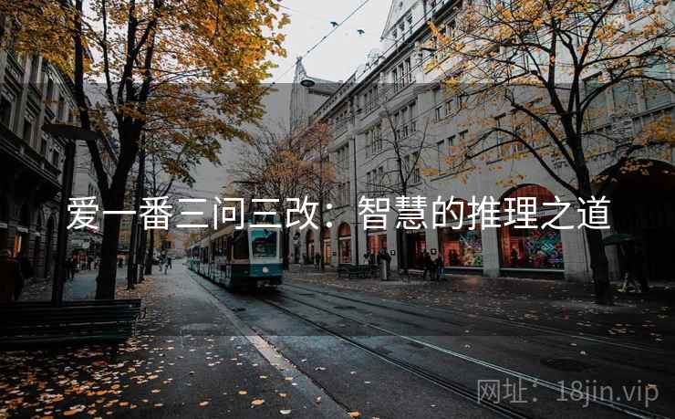 爱一番三问三改:智慧的推理之道